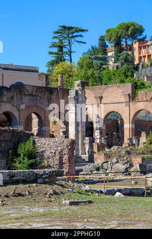 Überreste der Basilika Julia, Forum Romanum, Rom, Italien Stockfoto