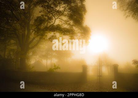 Downham Hall tanzt an einem stimmungsvollen Morgen im Ribble Valley, Lancashire, Großbritannien Stockfoto