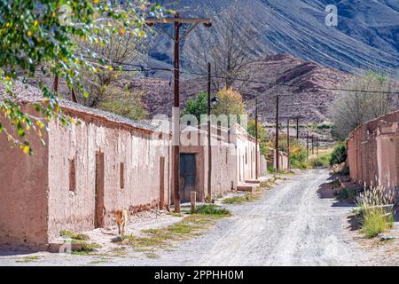 Das Dorf La Poma in Argentinien in den Anden Südamerikas Stockfoto