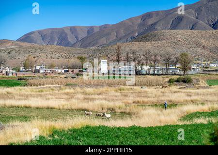 Das Bergdorf La Poma in den argentinischen Anden Stockfoto
