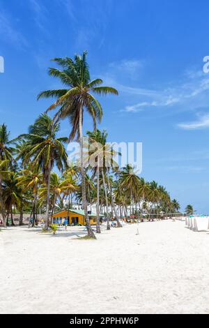 Playa Spratt Bight Strandurlaub mit Palmen im Porträtformat Urlaubssee auf der Insel San Andres in Kolumbien Stockfoto