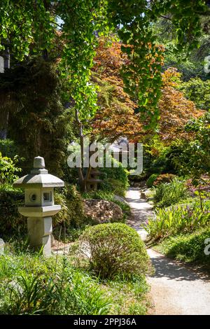 Steinlampe in einem japanischen Garten Stockfoto