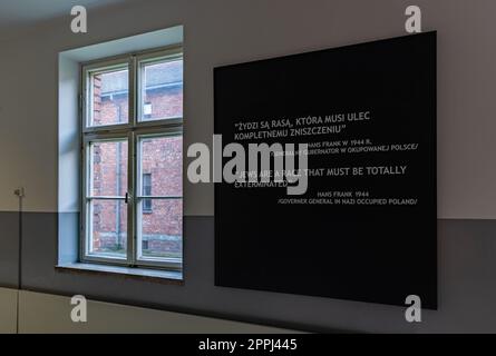 Auschwitz, Ausstellung III Stockfoto