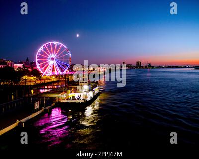 Belgien, Antwerpen - Riesenrad / The View Cross Wheel am Schelde Stockfoto