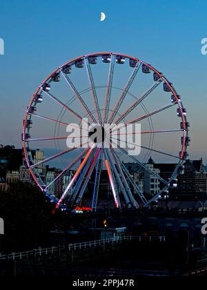 Belgien, Antwerpen - Riesenrad / The View Cross Wheel am Schelde Stockfoto