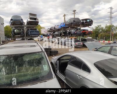 Buzau, Rumänien - 12. September 2022: Alte zerstörte Autos auf dem Schrottplatz, die darauf warten, in einem Recyclingpark in Bacau in Nordrumänien geschreddert zu werden. Stockfoto