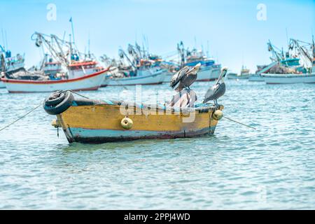 Pelikane am Meer auf einem Fischerboot Stockfoto