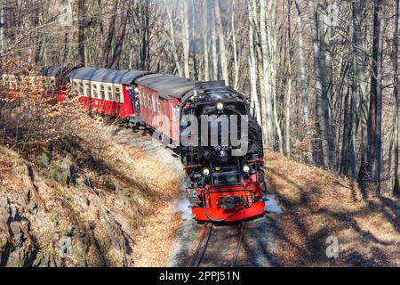 Brockenbahn Dampflokomotivbahn mit Abfahrt Wernigerode in Deutschland Stockfoto