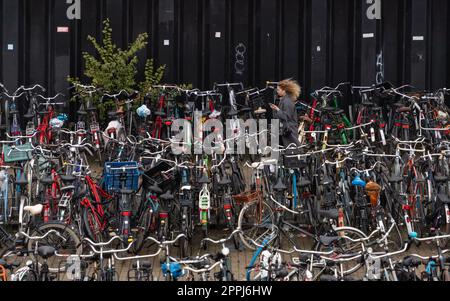 Fahrradparkplatz Am Hauptbahnhof Stockfoto