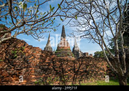 THAILAND AYUTTHAYA WAT PHRA SI SANPHET Stockfoto