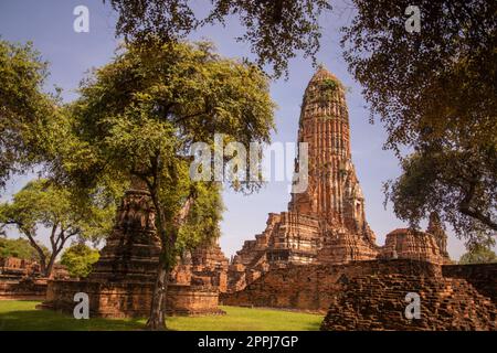 THAILAND AYUTTHAYA WAT PHRA RAM Stockfoto