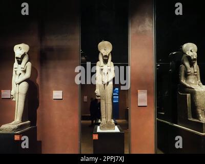 Göttin Sekhmet im Ägyptischen Museum Museo Egizio in Turin Stockfoto