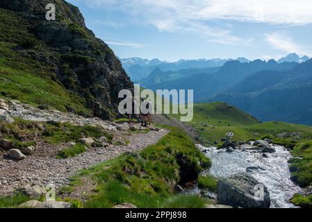 Wanderer auf dem Pic du Midi Ossau in den französischen Pyrenäen Stockfoto