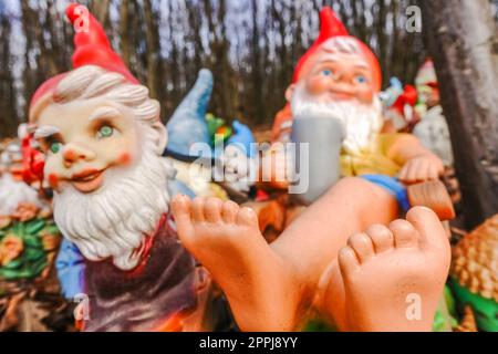 Farbenfrohe Gartenzwerge mit einem Bier an einem Ort im Wald Stockfoto