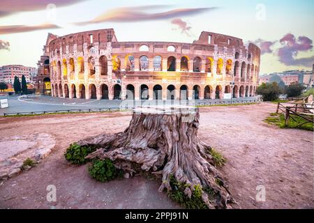 Berühmtes Wahrzeichen des Kolosseums in Rom mit Blick auf die Morgendämmerung Stockfoto