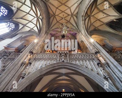 Stephansdom in Wien Stockfoto