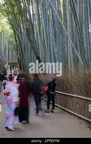 Menschen ziehen neben dem Bambuswald von Arashiyama um. Stockfoto