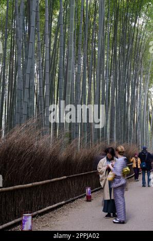 Japanisches Paar in traditionellem Kostüm. Stockfoto