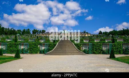 Blick auf das Schloss Sanssouci in Potsdam Stockfoto