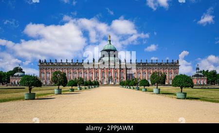 Blick auf das Schloss Sanssouci in Potsdam Stockfoto