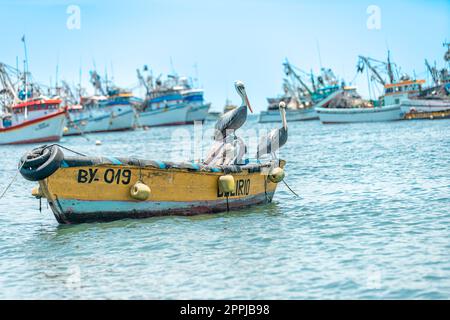 Pfefferminzbonbons auf einem Fischerboot an der Küste Stockfoto