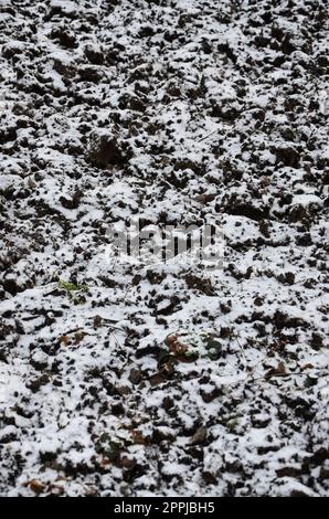 Die Beschaffenheit des Bodens, bedeckt mit einer dünnen Schneeschicht. Der Boden des Gartens im Winter. Der gegrabene Boden ist nah dran Stockfoto