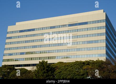 Bäume in den Hamarikyu Gärten und dem Gebäude. Stockfoto