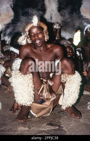 Zulu Leute an der Shakaland Zulu Dorf, nkwalini Tal, Kwazulu Natal, Südafrika. Stockfoto