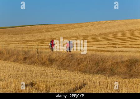 Pilger gehen am Camino de Santiago entlang Stockfoto