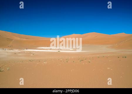 Dünen der Namibwüste Stockfoto
