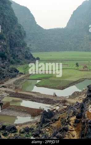 Gescannte Folie eines historischen Farbfotos von Reisfeldern in Vietnam Stockfoto