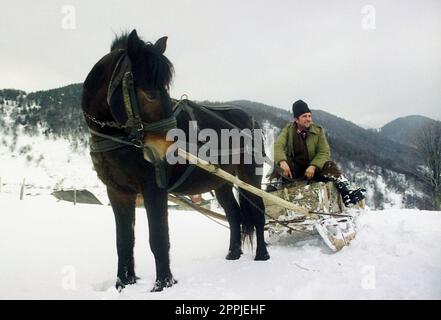 Sirnea, Brasov County, Rumänien, ca. 2000. Ein Mann, der einen traditionellen Pferdeschlitten fährt. Stockfoto