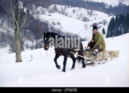 Sirnea, Brasov County, Rumänien, ca. 2000. Ein Mann, der einen traditionellen Pferdeschlitten fährt. Stockfoto