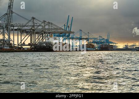 Container Dock in Rotterdam. Stockfoto