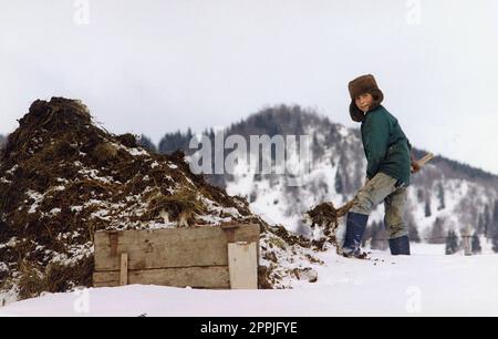 Sirnea, Brasov County, Rumänien, ca. 2000. Ein Junge von hier, der an einem kalten Wintertag im Hof arbeitet. Stockfoto