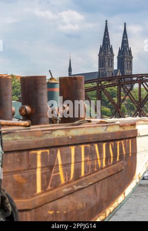 Kathedrale der Heiligen Peter und Paul in Vysehrad, Prag, Tschechische Republik Stockfoto