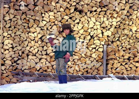 Sirnea, Brasov County, Rumänien, ca. 2000. Ein Junge von hier, der an einem kalten Wintertag im Hof arbeitet. Stockfoto