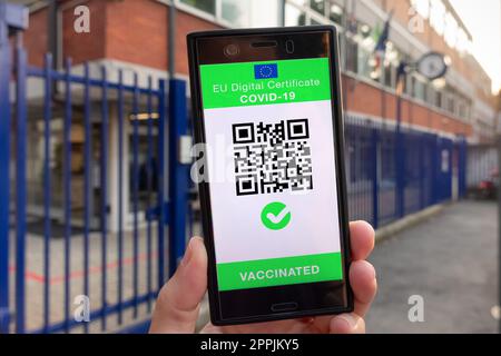 Frau zeigt auf dem Smartphone EU Digital Covid Zertifikat Green Pass. Stockfoto