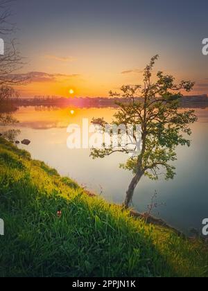 Sonnenuntergang am See mit einem einzelnen Baum auf dem Hügel. Lebendiger Sonnenuntergang im ruhigen Wasser des Teichs Stockfoto