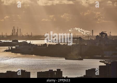 Rotterdamer Hafen Dämmerung Panorma vom Euromast Stockfoto