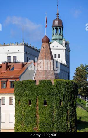 Turm der sieben Mäntel, im Hintergrund mittelalterliches Herzogsschloss, Szczecin, Polen Stockfoto