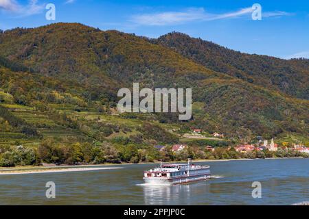 Schwallenbach an der Donau, UNESCO, Wachau, Niederösterreich, Österreich Stockfoto