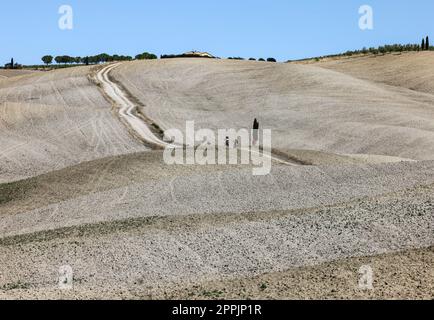 Die ländliche Landschaft in der Nähe von San Quirico in der Toskana. Stockfoto
