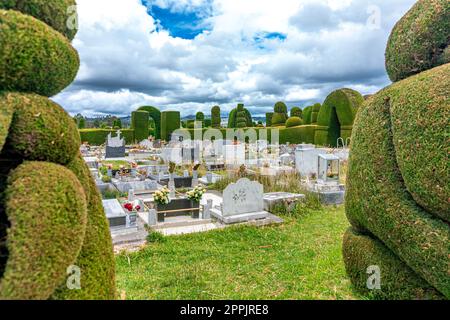 Tulcan, Ecuador - 8. Oktober 2022: Friedhof mit grünen Skulpturen aus Pflanzen Stockfoto