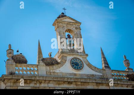 Detailansicht der Architektur von Arco da Vila in Faro, Portugal. Stockfoto