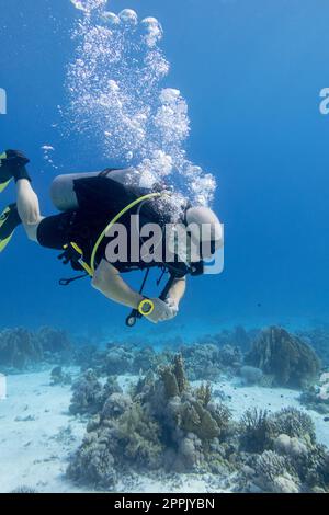 Einzeltaucher mit der Ausrüstung über farbenfrohe Korallenriffe auf dem Grund des tropischen Meeres, Unterwasserlandschaft Stockfoto