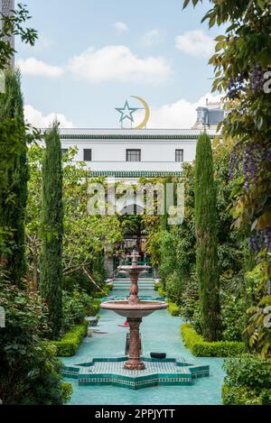 Wunderschöner vegetierter Hof in der Grande Mosquee de Paris Stockfoto