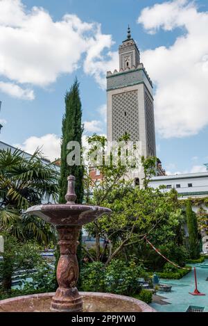 Wunderschöner vegetierter Hof in der Grande Mosquee de Paris Stockfoto