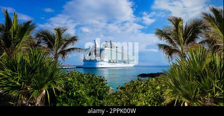 Abstrakte Kreuzfahrtschiffe oder große Kreuzfahrtschiffe im offenen Wasser mit tropischem Palmenhintergrund. Collage über Reisen Stockfoto