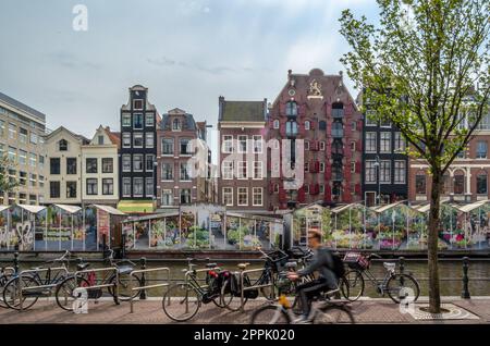 AMSTERDAM, NIEDERLANDE - 24. AUGUST 2013: Blick auf den Blumenmarkt in Amsterdam, eine beliebte Touristenattraktion am Singelkanal, ist der einzige schwimmende Blumenmarkt der Welt Stockfoto